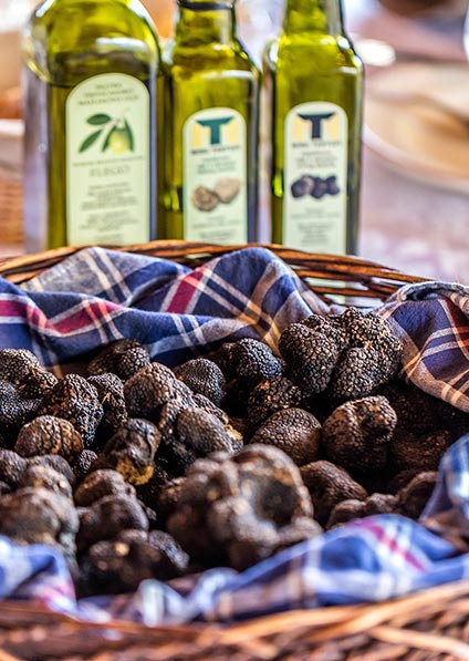 wine tour of croatia Istrian truffles and olive oils